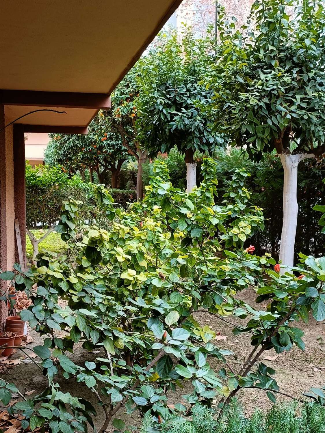 Piso en venta en Zona Puerto Deportivo (Fuengirola)