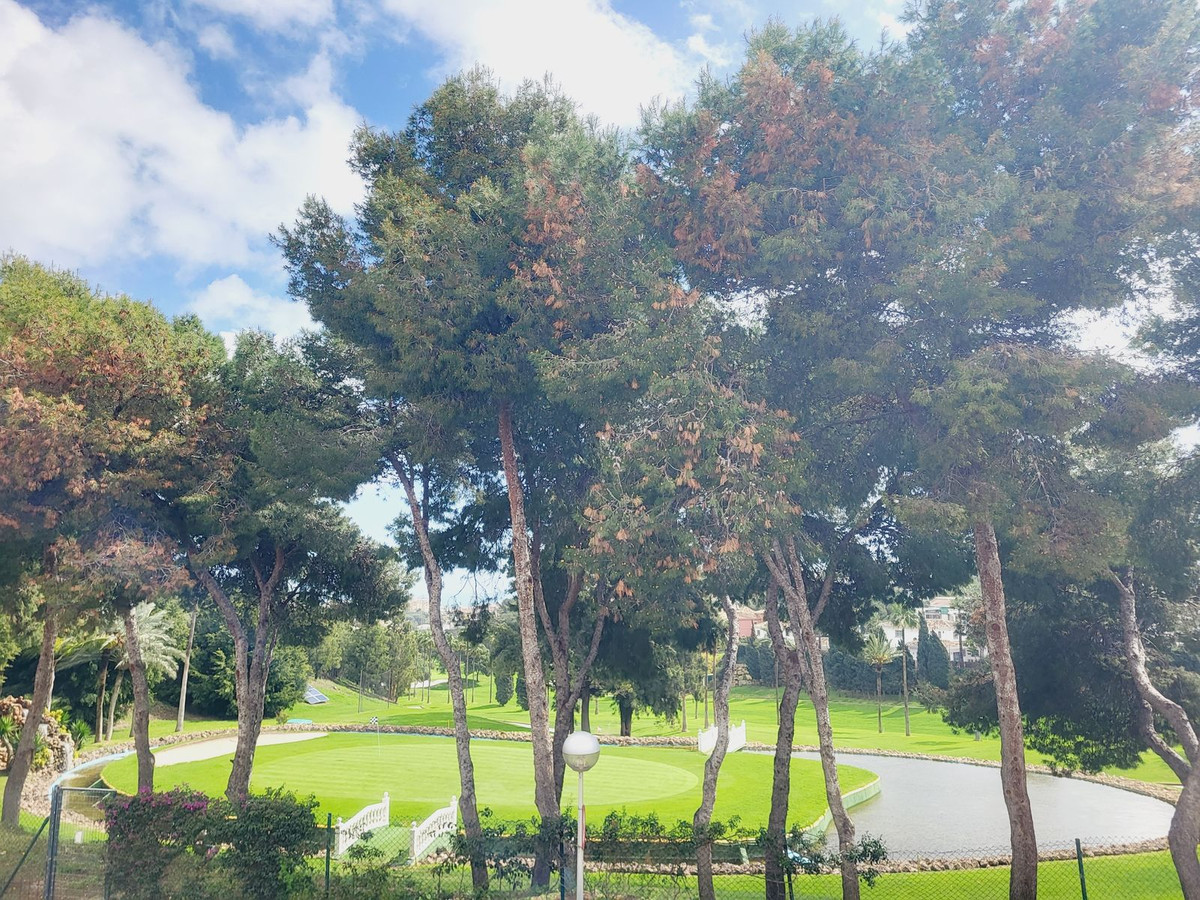 Piso en venta en Riviera del Sol (Mijas)