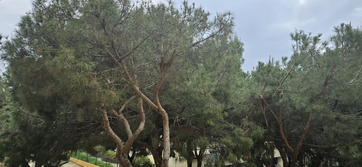 Flat for sale in Sitio de Calahonda (Mijas)