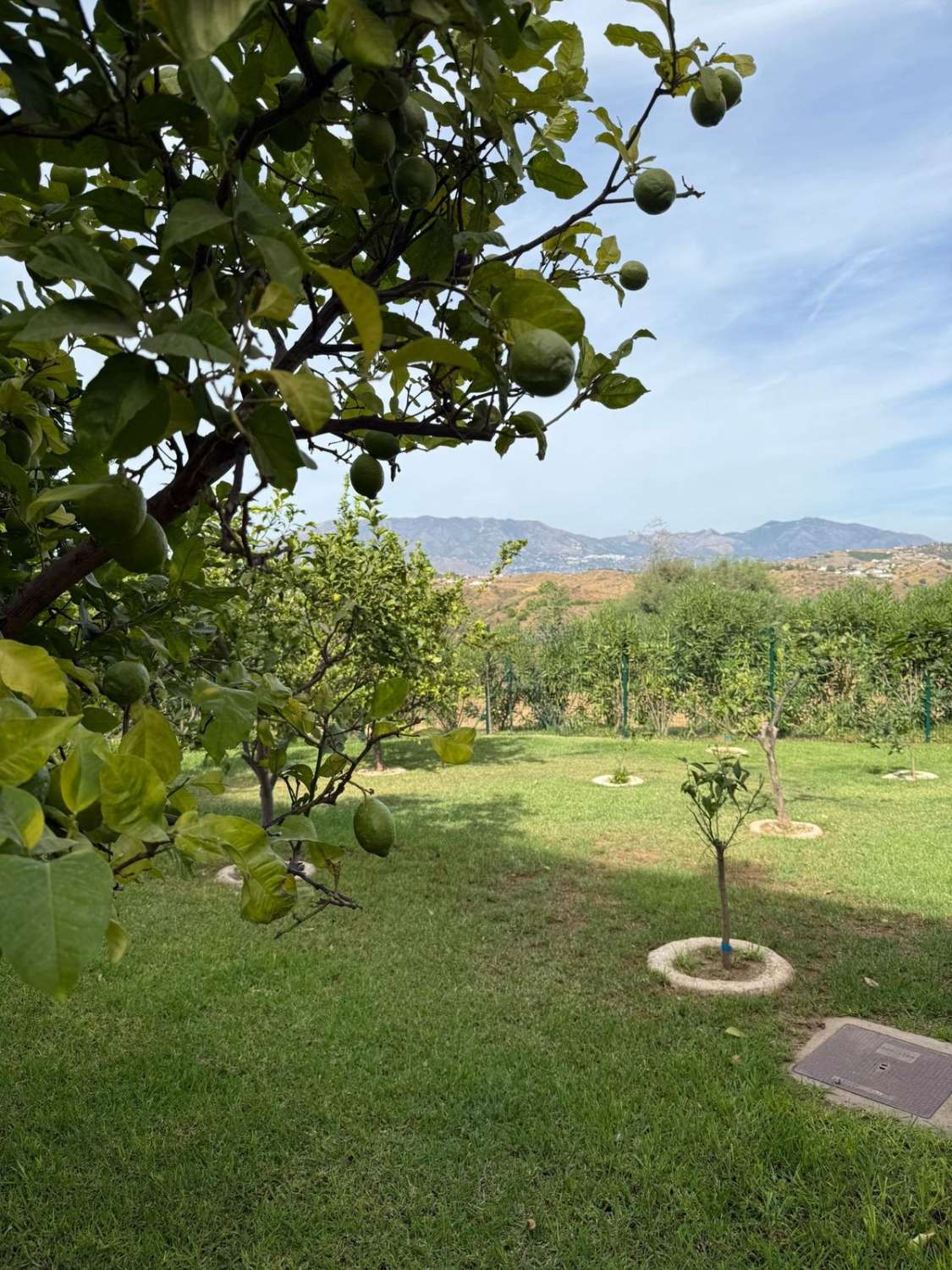 Piso en venta en Mijas Costa